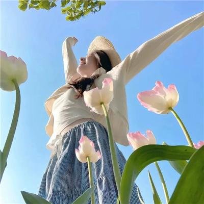 沉眠之虎